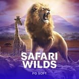 Safari Wilds